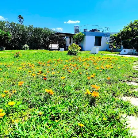 Psalidi House * Psalidi (Kos)
